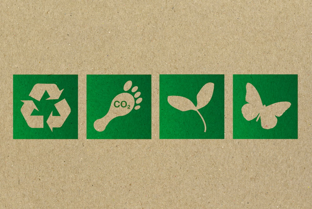 Why Eco-Friendly Toys Matter: A Look at Catpillar's Sustainable Playtime Solutions