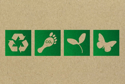 Why Eco-Friendly Toys Matter: A Look at Catpillar's Sustainable Playtime Solutions